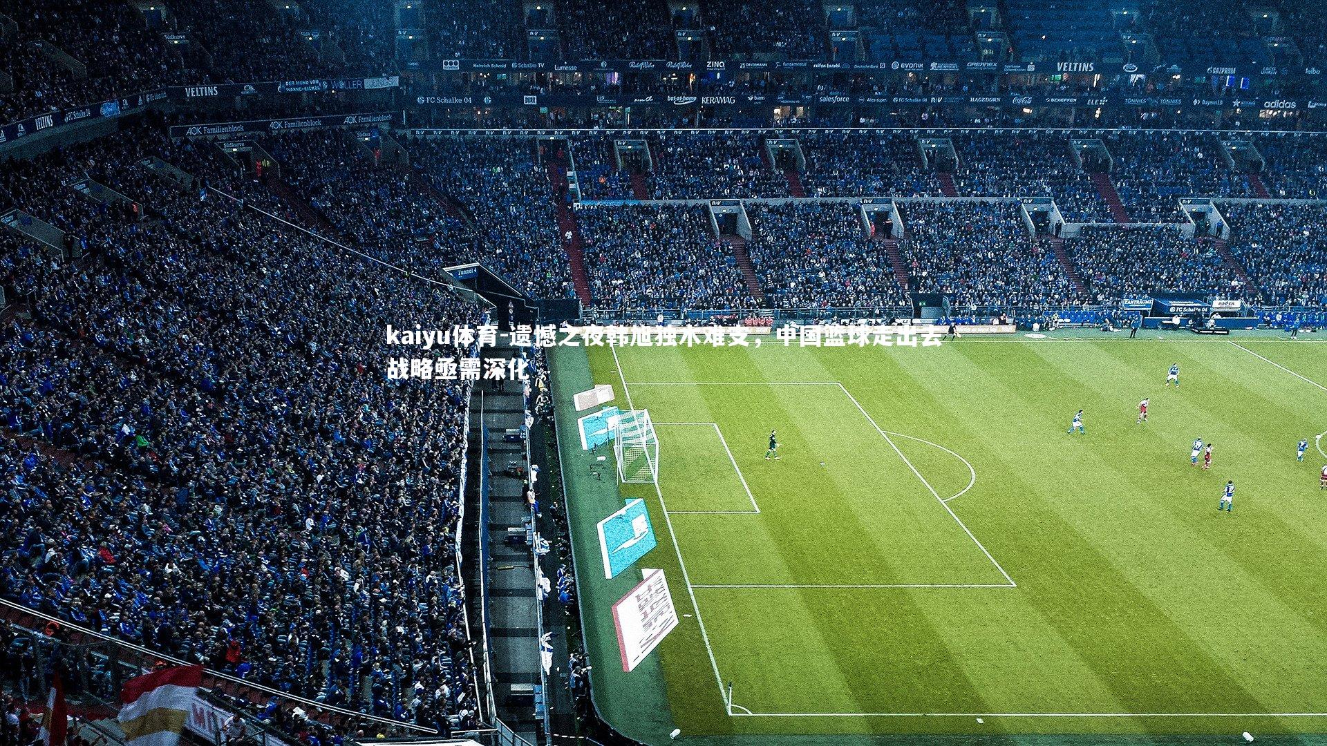 遗憾之夜韩旭独木难支，中国篮球走出去战略亟需深化